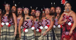 Learning Maori? Here Are The Books I Recommend