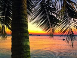 Is Swahili A Language? A Creole? A Dialect?