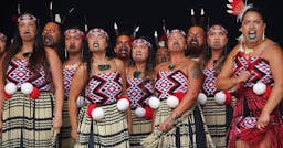 Learning Maori? Here Are The Books I Recommend