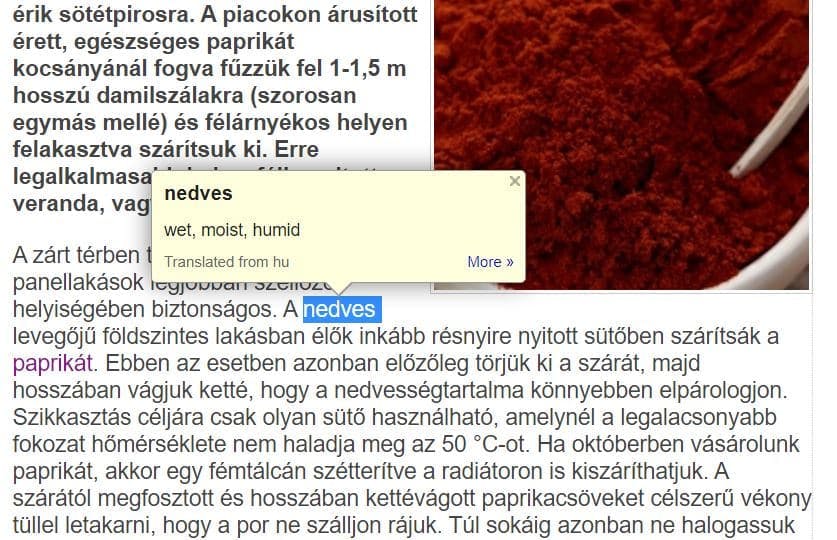 How to learn Hungarian with Google Dictionary