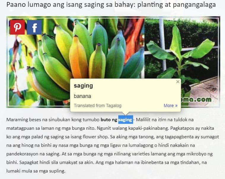How to learn Tagalog with Google Dictionary