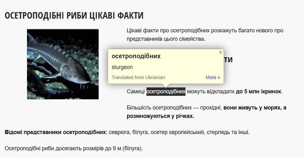 How to learn Ukrainian with Google Dictionary