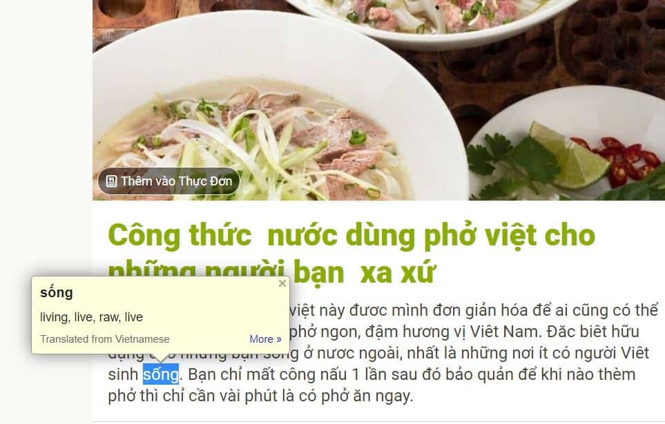 How to learn Vietnamese using Google Dictionary
