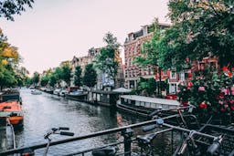 What's The Best Way To Learn Dutch By Yourself? (Beginner To Fluent)