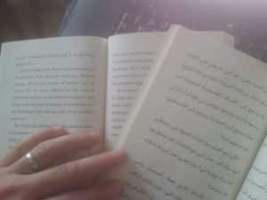 codename-butterfly-arabic-english